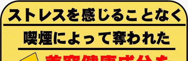 �X�g���X�������邱�ƂȂ��i���ɂ���ĒD��ꂽ