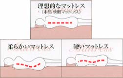 マットレス別・背骨の状態