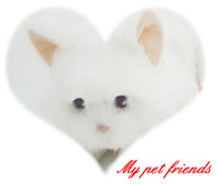 �}�C�y�b�g�t�����Y�̓���