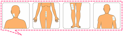 �P�K/�₯��/��p/�ɂ���/�Ȃǂłł��������ƑS�ʂɂ��g�����������B