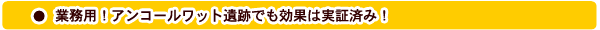 ����ȥ졼��ϡ���̳�ѤǤ���