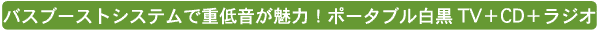 3�d�������ŕ֗��ȁA�u���̃e���r�v!