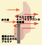 �C�����F���E�x���g�̎d�g��