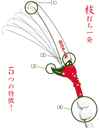 5�̓���