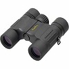 Avantar 825DH